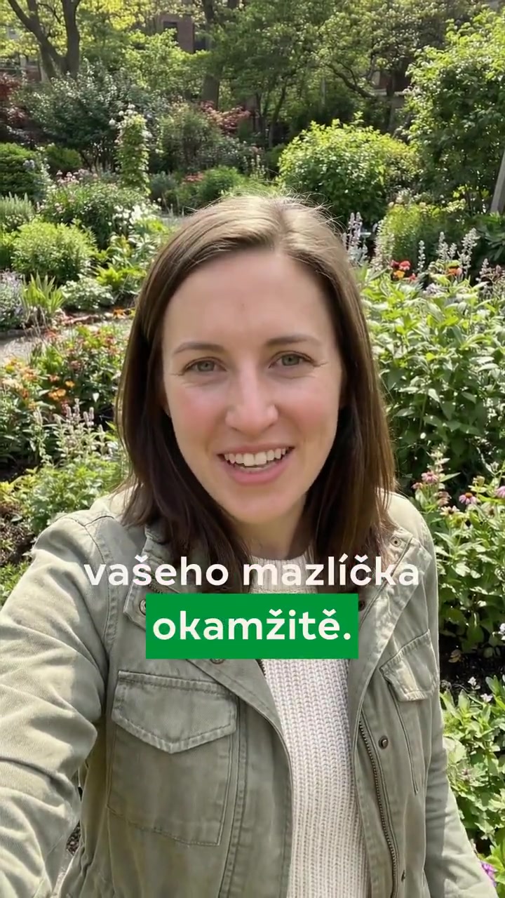 Lékárna Lemon – ukázka UGC reklamy